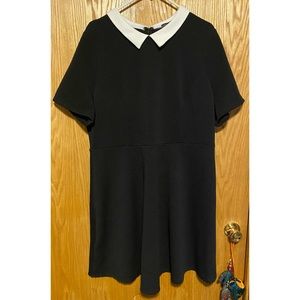 🖤🤍 Black Dress w/ Peter Pan Collar